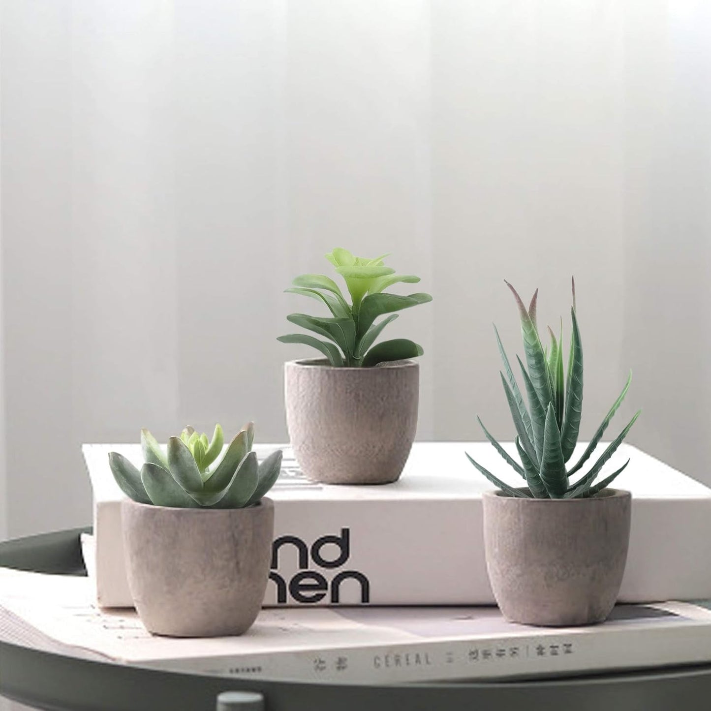 4 Pack Mini Artificial Plants, 1 Eucalyptus Plant & 1 Gypsophila Plant & 2 Faux Succulent Plants for Home Indoor Decor Office Desk Shower Room Bathroom Table Decoration